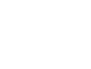 2.4 ghz icon